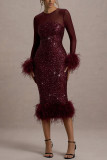 Women's Long Sleeve Sequin Fashion Tight Fitting Party Evening Dress
