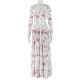 Women's Pleated Print Round Neck Long Sleeve Slim Waist A-Line Dress