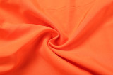 Women Autumn Sleeveless Halter Neck Tie-Up Backless Dress