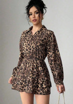 Fall Leopard Print Satin Long Sleeve Elastic Waist Dress