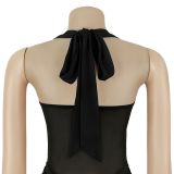Women Fashionable Sexy See-Through Mesh Halter Neck Lace-Up Evening Dress