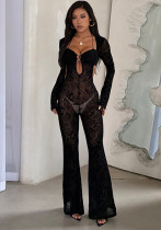 Autumn/Winter Women Sexy Flocked Long-Sleeve See-Through Jumpsuit