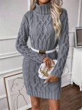 Women Autumn/Winter Turtleneck Long-Sleeved Sweater Dress