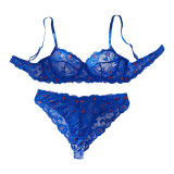 Heart Print Lace Sheer Lingerie Bra Set