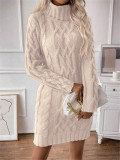 Women Autumn/Winter Turtleneck Long-Sleeved Sweater Dress