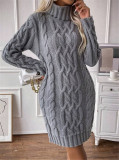 Women Autumn/Winter Turtleneck Long-Sleeved Sweater Dress