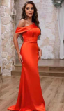 African Women's Plus Size Chic Formal Party Evening Ball Gown