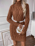 Women Autumn/Winter Turtleneck Long-Sleeved Sweater Dress