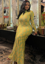 Women Printed Pleated High-Neck Long-Sleeved Bodycon Dress