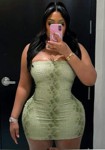 Women Autumn/Winter Snake Print Sexy Strapless Backless Bodycon Dress