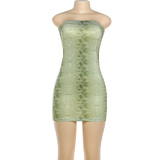 Women Autumn/Winter Snake Print Sexy Strapless Backless Bodycon Dress