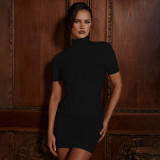 Women's Fall/Winter Solid Color Turtle Neck Sexy Short Sleeve See-Through Tight-Fitting Bodycon Mini Dress