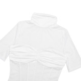 Women's Fall/Winter Solid Color Turtle Neck Sexy Short Sleeve See-Through Tight-Fitting Bodycon Mini Dress