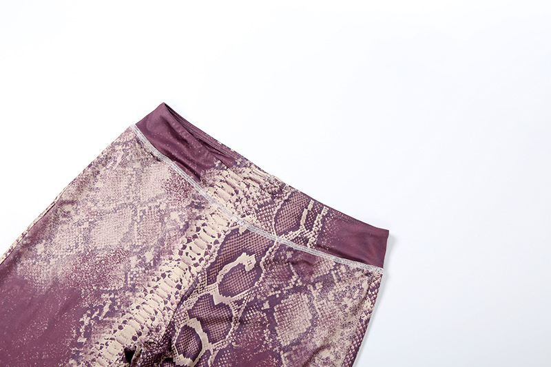 Women Autumn/Winter Top Print Long Pants Two-Piece Set