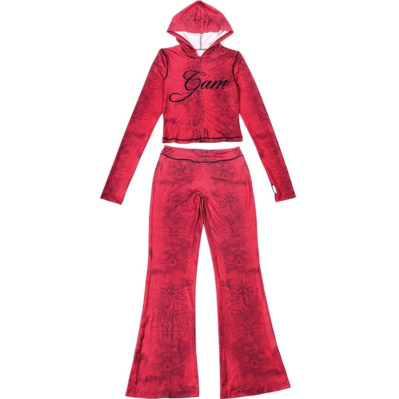 Women Autumn/Winter Top Print Long Pants Two-Piece Set