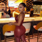 Women's Winter Solid Color Sleeveless Patchwork Shiny Strap Tight-Fitting Short Dress