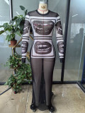 Women Spring Summer Casual Slim-Fit Mesh Print Street Style Long-Sleeve Long Dress