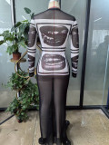 Women Spring Summer Casual Slim-Fit Mesh Print Street Style Long-Sleeve Long Dress