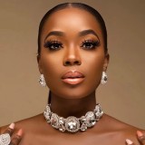 Women Round Rhinestone Necklace and Earrings Accessories