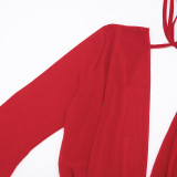 Women Winter Sexy Mesh See-Through Backless Bodycon Dress