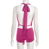 Women Plunge Neck Halter Low Back Lace-Up Top & Shorts Two-Piece Set