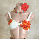 Women Fashion Sexy Printed Two-Piece Bikini Swimwear