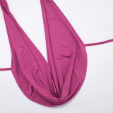 Women Plunge Neck Halter Low Back Lace-Up Top & Shorts Two-Piece Set