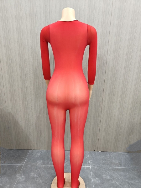 See-Through Seamless Stretch Jumpsuit for Club & Intimate Wear