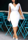 Women Elegant V-Neck Back-Zip Formal Party Dress