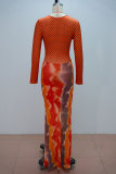 Women's Autumn/Winter Fashion Sexy Long Sleeve Slim-Fit Printed Bodycon Dress