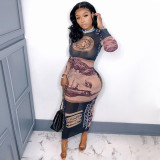 Women's Autumn/Winter Sexy Mesh See-Through Dollar Print long Dress
