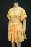 Women's Autumn/Winter Fashion V-Neck Slim Waist Plaid Ruched Dress