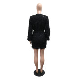 Women's Sexy Fashion Deep V-Neck Long Sleeve Mini Dress