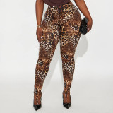 Women Spring/Summer Leopard Print Stirrup Print Slip-On Basic Casual Pant
