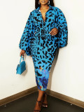 Women Long-sleeved V-neck Printed Dress