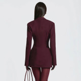 Women Autumn/Winter Solid Turndown Collar Pleated Bodycon Dress
