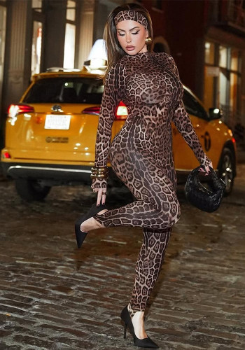 Women Autumn/Winter Leopard Print Long-Sleeve High-Neck Top and Slip-On Pants Two-Piece Set