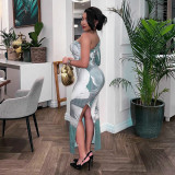 Women's Fashion Printed One-Shoulder Long Sleeve Slim Waist Long Dress