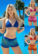 Women's Swimwear Halter Neck Lace-Up Low Back Bikini and Shorts Three-Piece Set