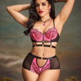 Sexy Lingerie Embroidery Mesh See-Through Bra & Panty Set
