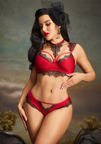 Sexy Lingerie Satin Lace Underwire Bra Set