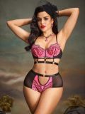 Sexy Lingerie Embroidery Mesh See-Through Bra & Panty Set