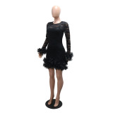 Women Lace Round Neck Dress