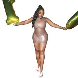 Women Sexy Solid Sleeveless See-Through Dress