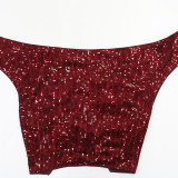 Women V-Neck Lace-up Backless Sexy Crop Top and Bodycon Skirt Two-Piece Set