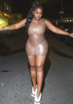 Women Sexy Solid Sleeveless See-Through Dress