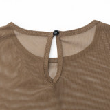 Women Round Neck Long Sleeve Mesh Patchwork Sexy Solid Pleated Dress