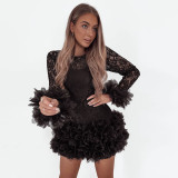 Women Lace Round Neck Dress
