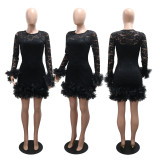 Women Lace Round Neck Dress