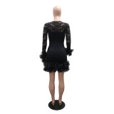 Women Lace Round Neck Dress